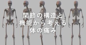 Read more about the article デスクワークが多い方の体の痛み原因を考える【関節の構造と機能ついて】