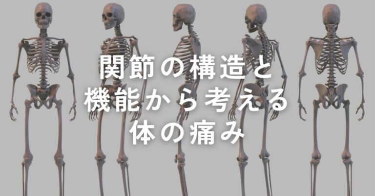 Read more about the article デスクワークが多い方の体の痛み原因を考える【関節の構造と機能ついて】