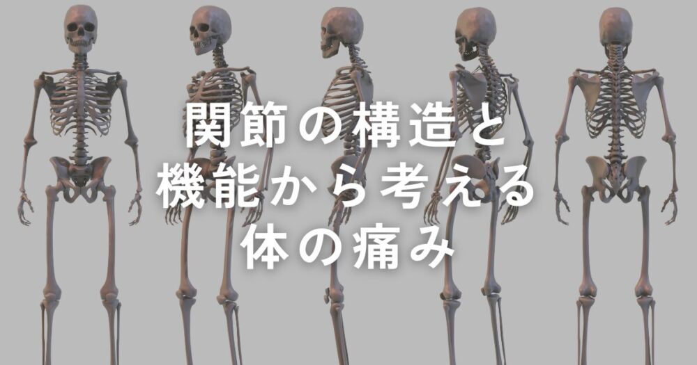 You are currently viewing デスクワークが多い方の体の痛み原因を考える【関節の構造と機能ついて】