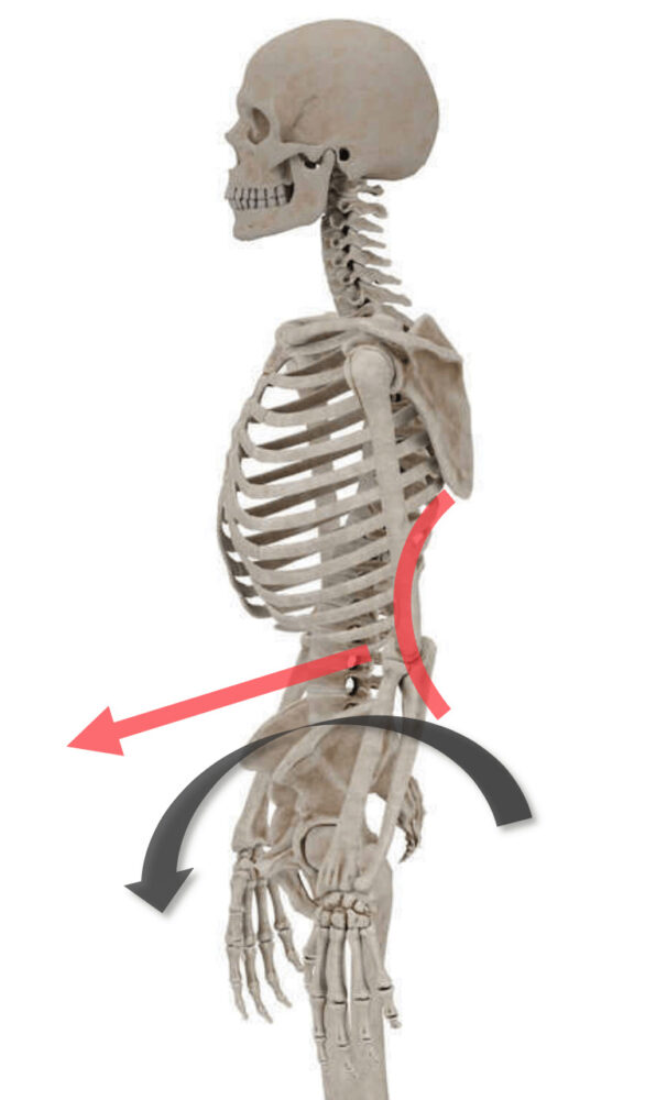 骨盤前傾による腰の痛み-1