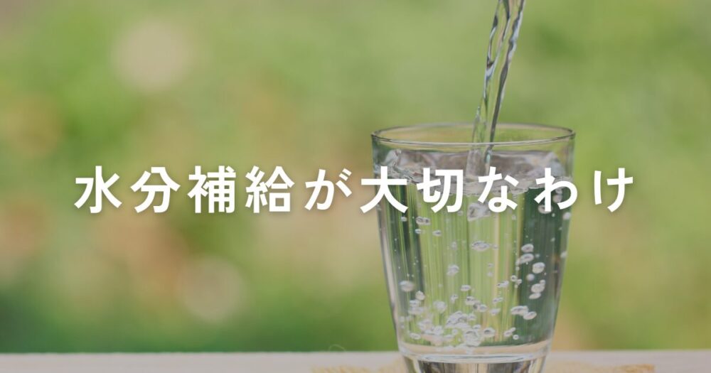 You are currently viewing 体の不調は水分不足が原因？水分補給が大切なわけ