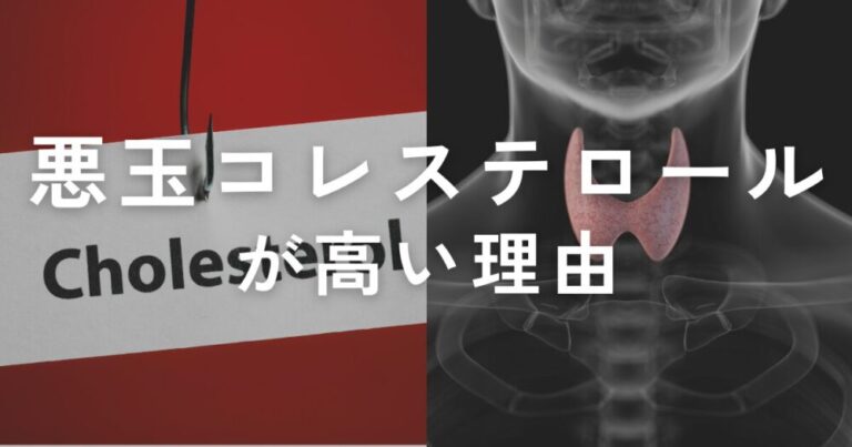 投稿についてもっと詳しく 悪玉コレステロールが高い理由